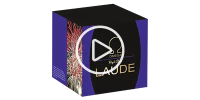 Omega Laude