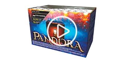 Jorge D55S Pandora
