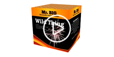 SFAC Wild Thing