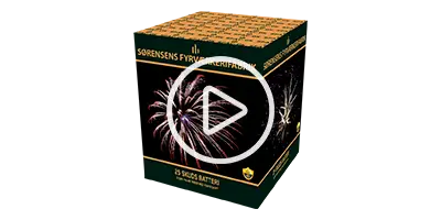 SFAC 9013 - 25 skud