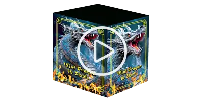 Dragon Fireworks Wild Dragon