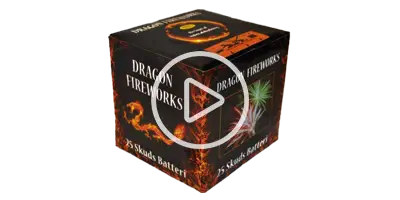Dragon Fireworks 2002 (Udgår)