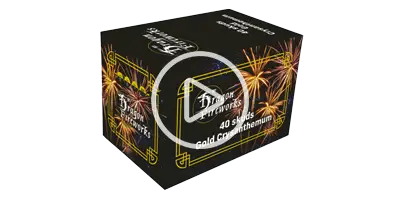 Dragon Fireworks Guldcrysanthemum