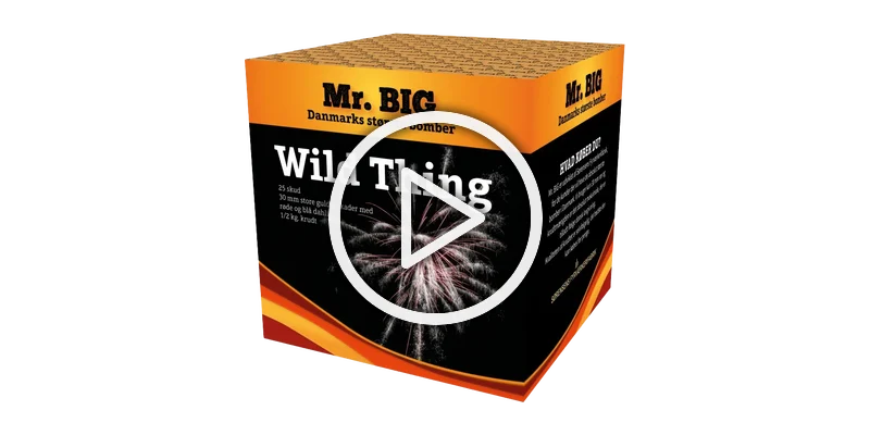SFAC Wild Thing